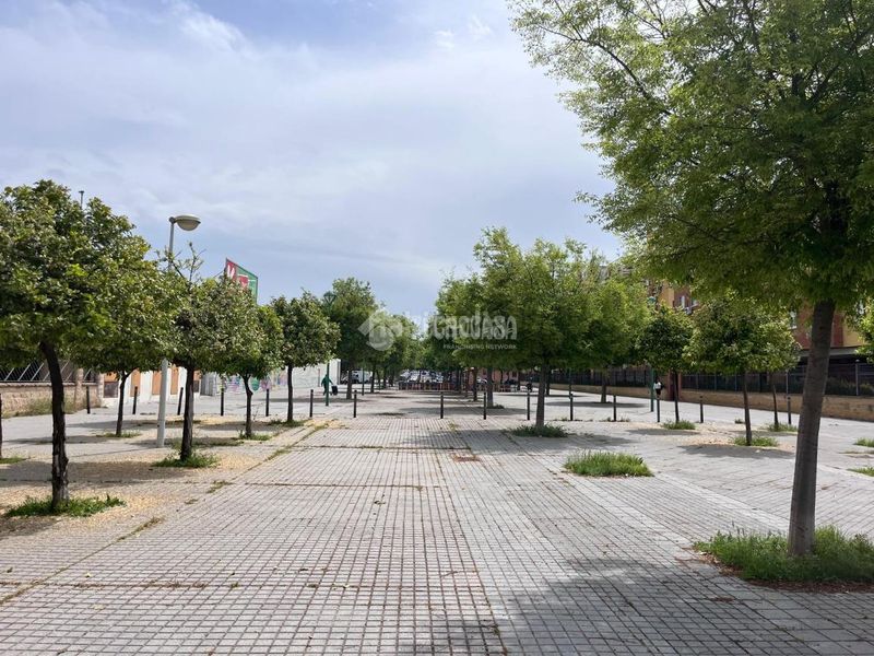 Foto c90f9456-423d-472b-82be-572fa8d621a9. Aparcament cotxe a Sector Sur Córdoba