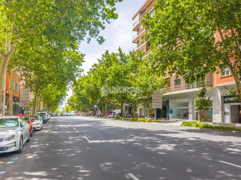 Foto 2c7db312-60f5-4b17-8548-1407d8d2808c. Pis a Vallehermoso Madrid