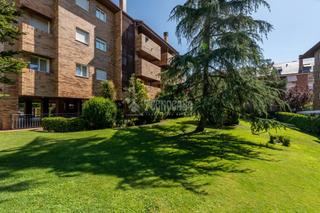 Lloguer Pis a Monte el Pilar. Piso en alquiler en majadahonda