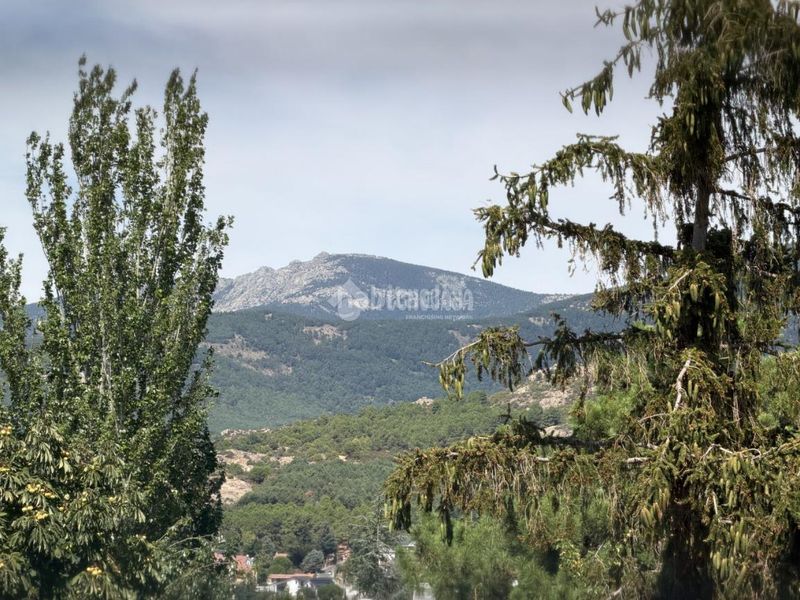 Foto b6e0e8b9-7edc-42a8-b762-2bd5d9fd3f66. Pis a Becerril de la Sierra