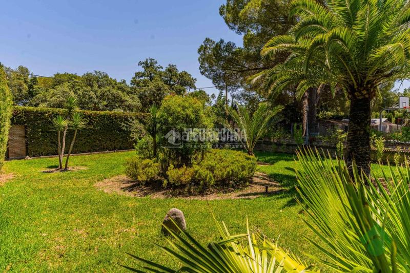 Foto 205e2ea6-b681-4a7f-a0dd-d90050ca2296. Mas avec piscine dans Parque Atlántico - Ronda este Jerez de la Frontera