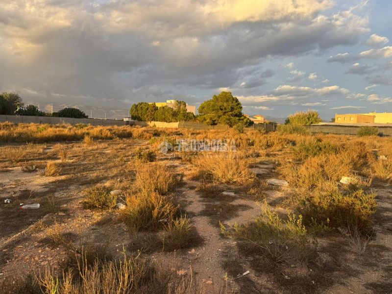 Foto 50698735-5848-4d27-9cc7-e363fc0263bf. Finca rústica a Carretera Mojonera - Cortijos de Marín Roquetas de Mar