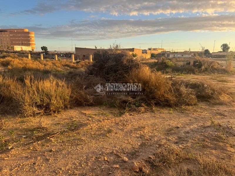 Foto 5e5b4b40-50fe-48d0-94b8-97375c14d962. Finca rústica a Carretera Mojonera - Cortijos de Marín Roquetas de Mar