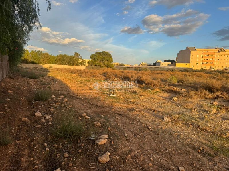 Foto b913a102-e2d7-40c3-8a56-48e4e3f3acaf. Finca rústica a Carretera Mojonera - Cortijos de Marín Roquetas de Mar