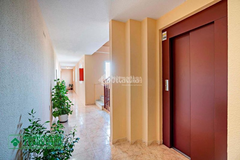 Foto c1a1f6a9-03fb-475d-b624-780666308168. Flat in Las Norias Ejido (El)