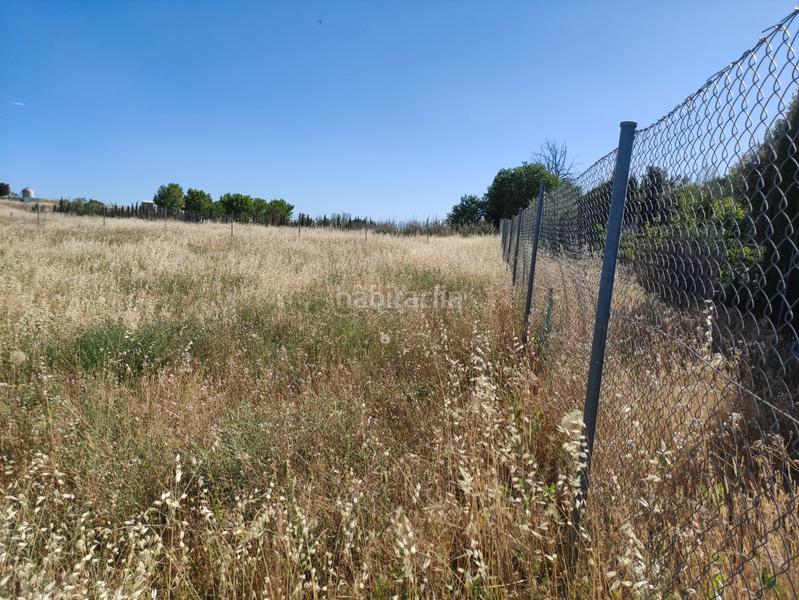 Foto 107410f5-d7b5-4f84-8e5c-cfdbc43aceaa. Fondo rustico in Santa María - Pío XII Ciudad Real