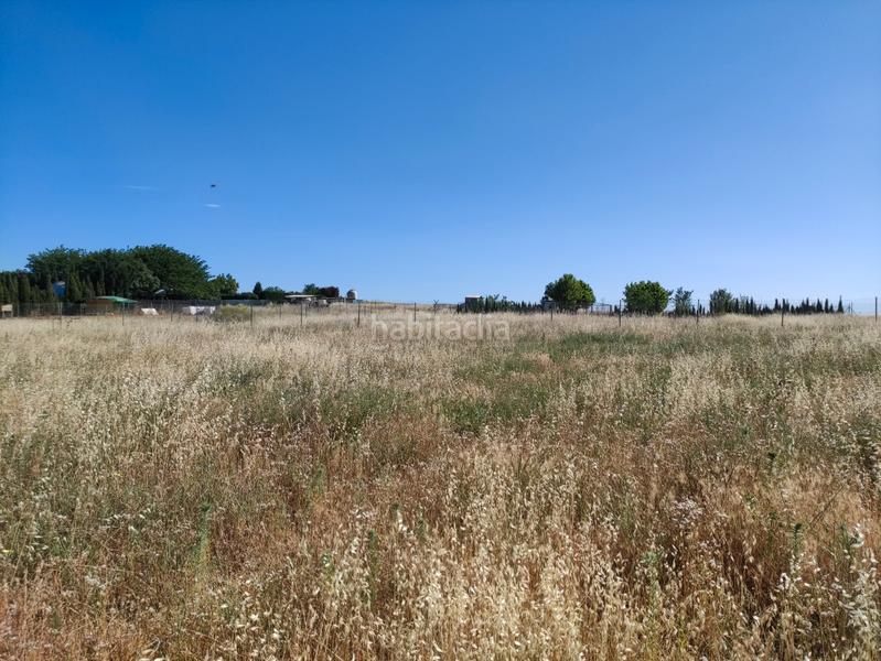 Foto 7eaab925-df7d-45cc-b5df-09534bc5a373. Fondo rustico in Santa María - Pío XII Ciudad Real