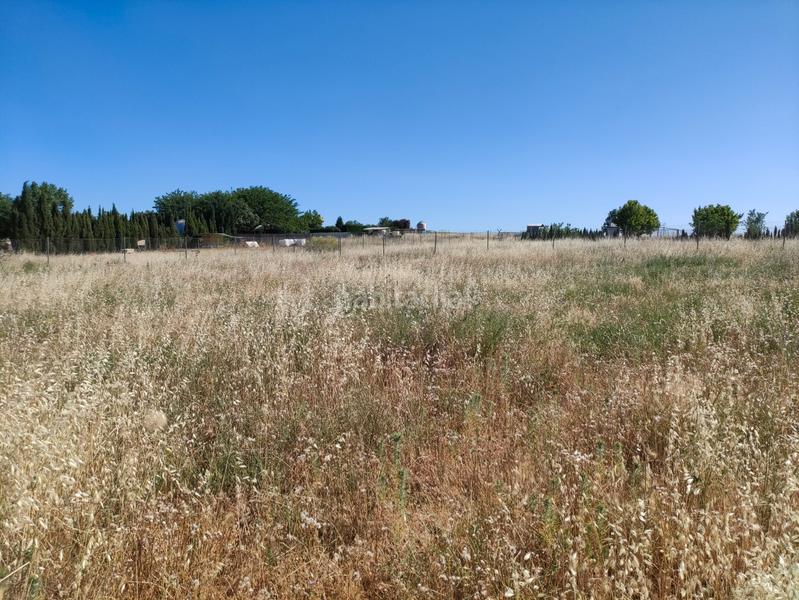 Foto ddb3c546-771b-45bb-9b2d-07ce94b3c0b4. Fondo rustico in Santa María - Pío XII Ciudad Real