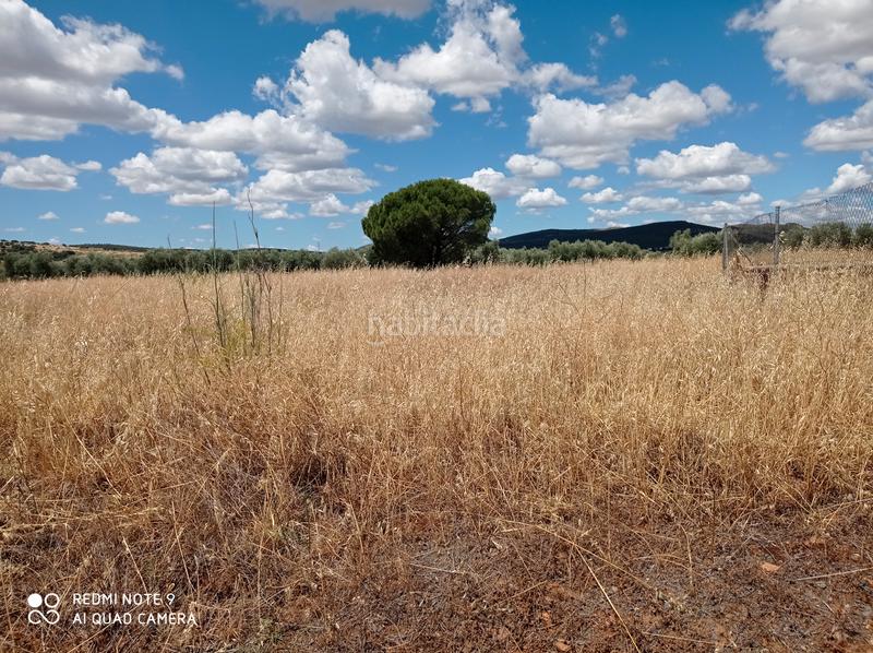 Foto 1c0bef2c-ab18-43c5-a82c-5685202dff16. Fondo rustico in Santa María - Pío XII Ciudad Real