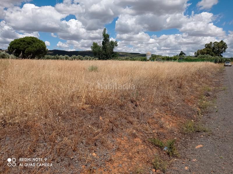 Foto 48933c2a-6c26-45e0-92ca-81c927fbadb4. Fondo rustico in Santa María - Pío XII Ciudad Real