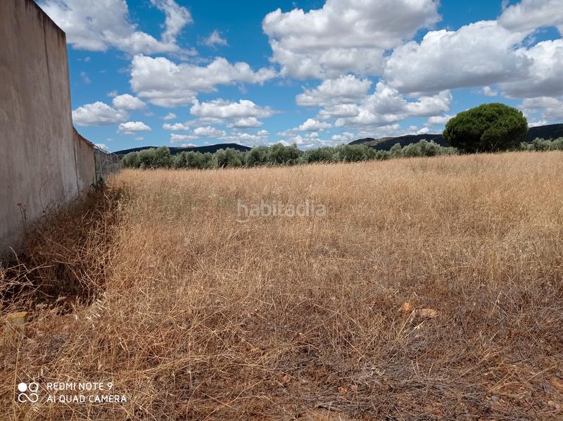Foto 8cd52ed6-d4a5-48e8-b0b0-ae8a4c8001bf. Fondo rustico in Santa María - Pío XII Ciudad Real