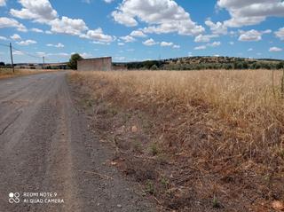 Finca rústica a Santa María - Pío XII. Parcela en venta