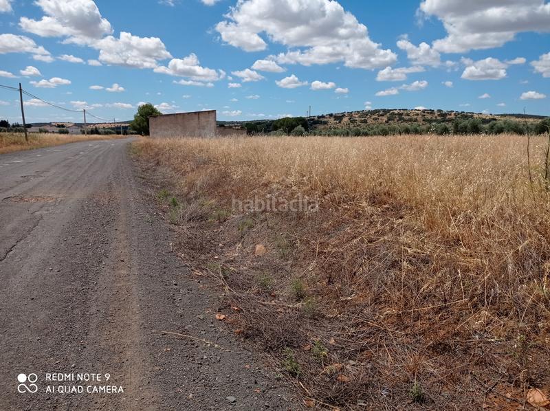 Foto f9d94f91-ad9f-4ad4-b1e1-54dfa456ee09. Fondo rustico in Santa María - Pío XII Ciudad Real