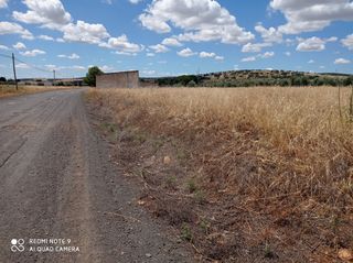 Finca rústica a Picón. Parcela en venta