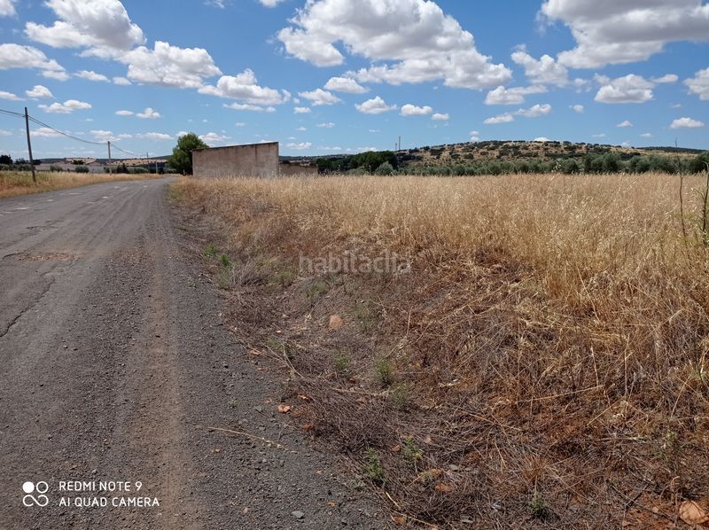 Foto f9d94f91-ad9f-4ad4-b1e1-54dfa456ee09. Finca rústica a Picón
