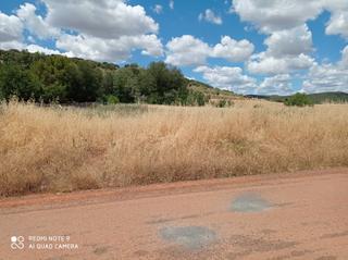 Fondo rustico in Piedrabuena. Parcela en venta