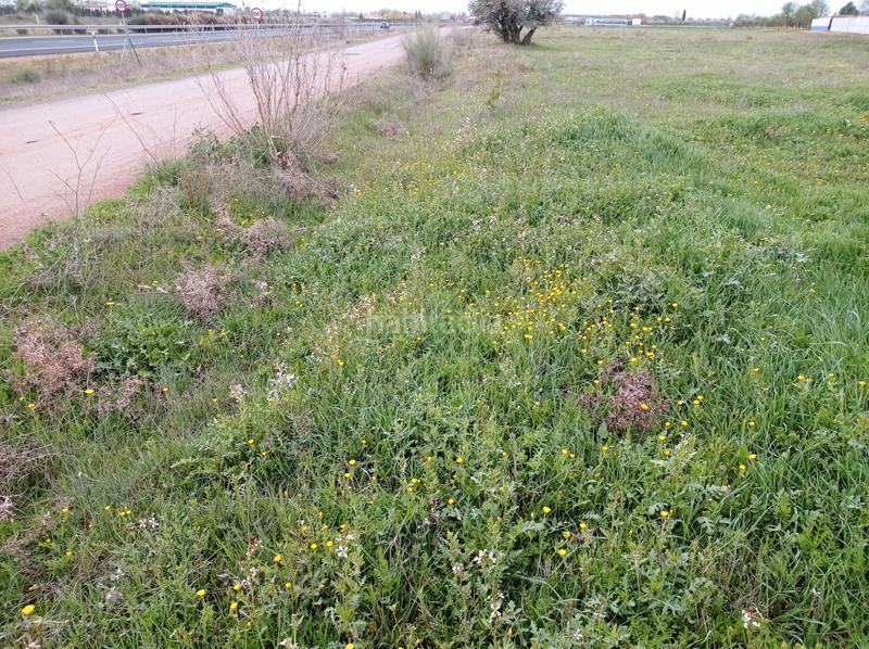 Foto 9b1eff71-b61e-4c74-9470-b3bb532610ac. Finca rústica parcela en venta en Los Rosales Ciudad Real