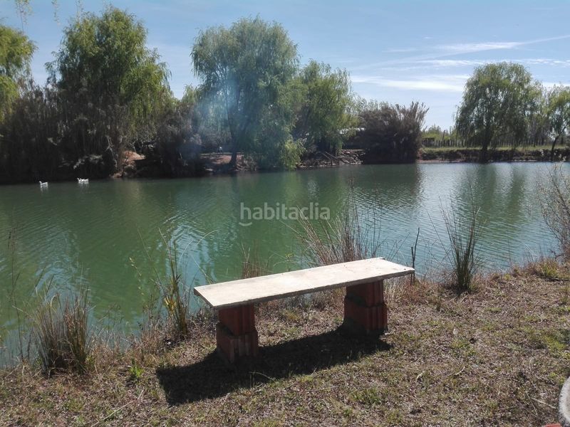 Foto f664e8f7-89ec-4a18-8fa3-e3201e13fef2. Xalet amb xemeneia calefacció aparcament piscina a Malagón
