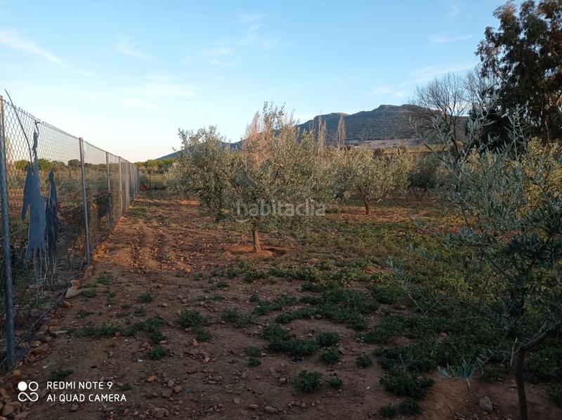 Foto 35bb1d48-f9a9-45bc-beed-2e086161a49a. Chalet  en venta en Porzuna