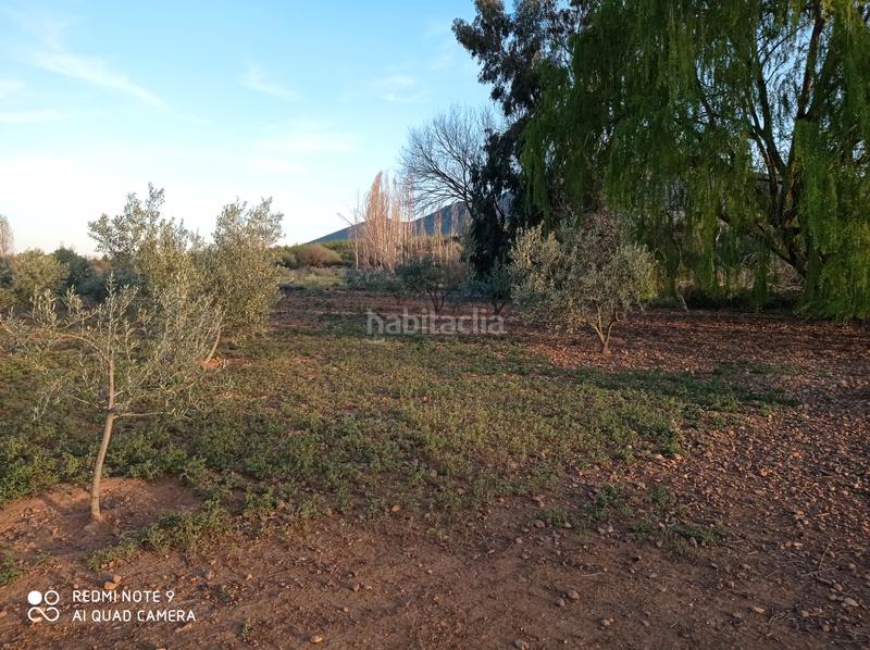 Foto 8da83fcf-139b-4f5a-9e84-ced8fac50d9e. Chalet  en venta en Porzuna