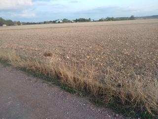 Finca rústica a Nuevo Parque. Parcela en venta
