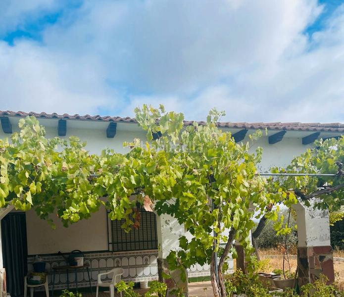 Foto d31076ff-66c7-4b7c-92f3-defc93e715dd. Xalet amb xemeneia aparcament piscina a Área Rual - Valverde - Las Casas Ciudad Real