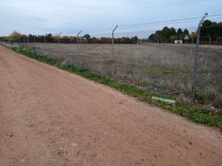 Finca rústica a Pozuelo de Calatrava. Parcela en venta