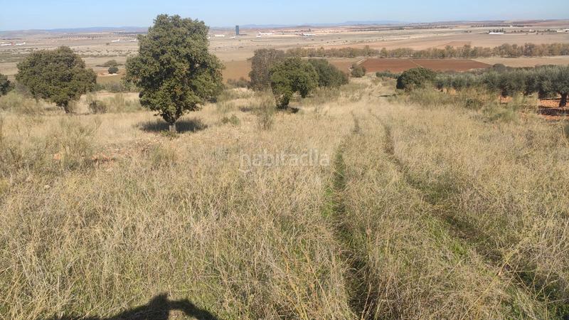Foto 1bf238dd-7bd2-4eff-b8b6-aa52f4aee30e. Finca rústica parcela en venta en Ballesteros de Calatrava