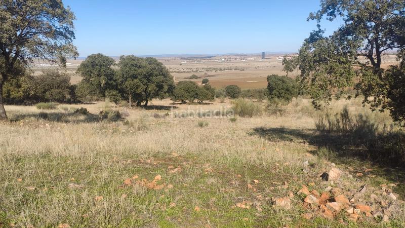 Foto 26ced6f8-0085-4d73-ba38-21609360d822. Finca rústica parcela en venta en Ballesteros de Calatrava