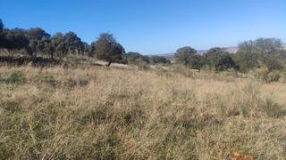 Finca rústica a Ballesteros de Calatrava. Parcela en venta