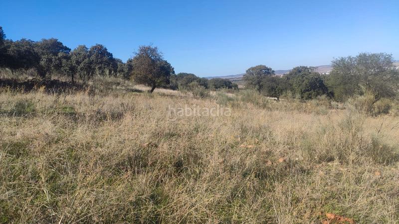 Foto 56d2d4b2-bc55-418a-9d52-efa2872c97e0. Finca rústica parcela en venta en Ballesteros de Calatrava