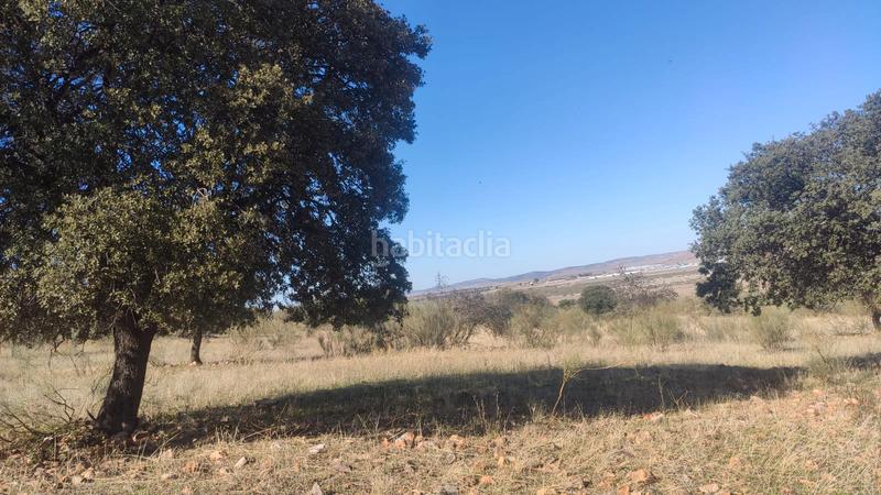 Foto c9cfdee9-3478-4dbd-bdd8-f70d4ea91921. Finca rústica parcela en venta en Ballesteros de Calatrava