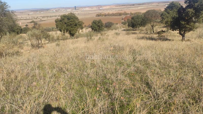 Foto ece9116c-fc70-4901-bcc6-93a257fd2b2a. Finca rústica parcela en venta en Ballesteros de Calatrava