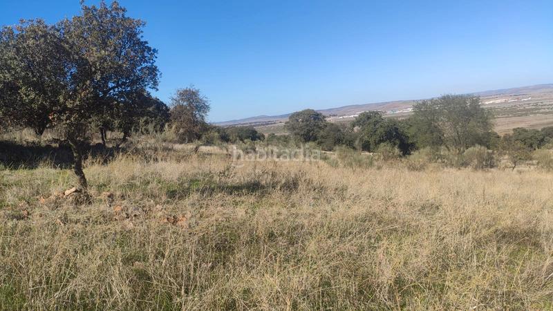 Foto f889ca26-b5ae-4f03-afc7-89db4ee6fb5e. Finca rústica parcela en venta en Ballesteros de Calatrava
