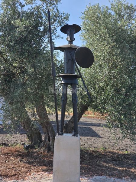 Foto 4e7a4eaf-acbf-44f2-92fa-647e0c03975f. Finca rústica a Alcolea de Calatrava