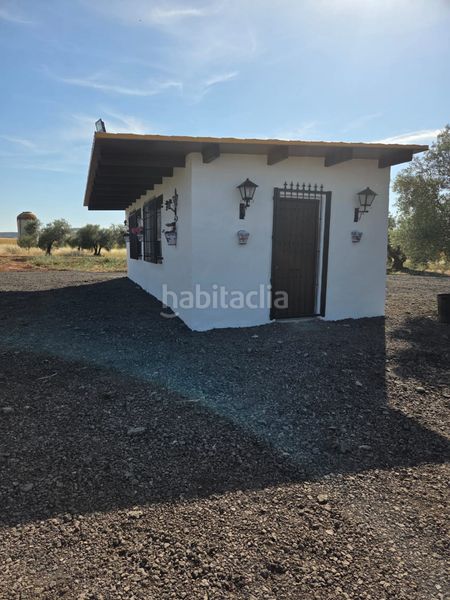 Foto efcae558-1fe6-43ff-93f4-801ef7c68bf8. Finca rústica a Alcolea de Calatrava