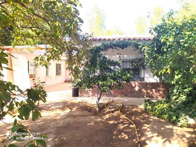 Foto 3b30151d-8c54-46f2-984f-bf4d7711dabb. Chalet  en venta en Malagón