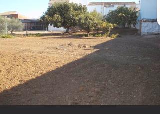 Terreny residencial a Corral de Calatrava. Solar urbano en venta