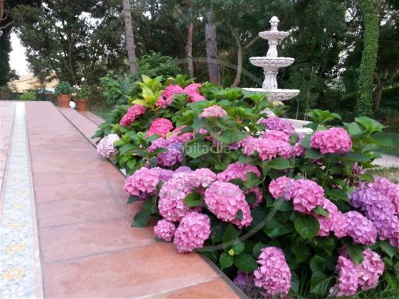 Foto 83560056-a43d-4971-97dd-403a9bc798dd. Chalet  independiente en platja d'aro en Fenals Platja d´Aro