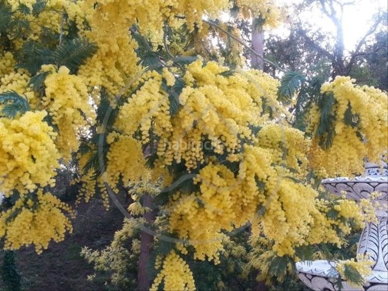 Foto ef360551-f57c-4160-b48d-06abec77b1fe. Chalet  independiente en platja d'aro en Fenals Platja d´Aro