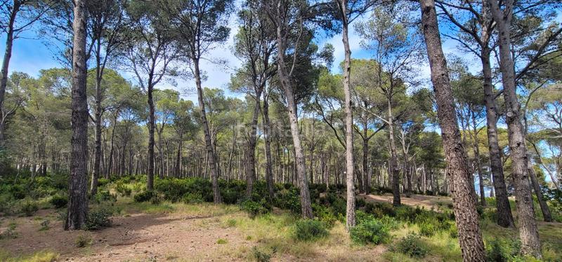 Foto a81dcc76-e4ba-491e-aa0a-3ac85bd3d695. Xalet amb aparcament piscina a La Fosca - Cala Margarida Palamós