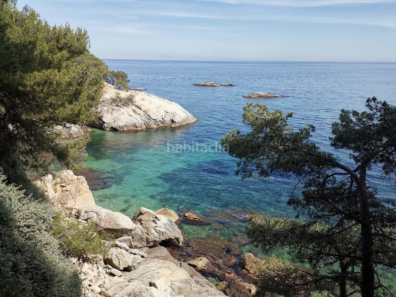 Foto 8fcf3e03-0612-498d-932e-c0835b64d70a. Xalet amb piscina a Torre Valentina-Mas Vilar de La Mutxada-Treumal Sant Antoni de Calonge
