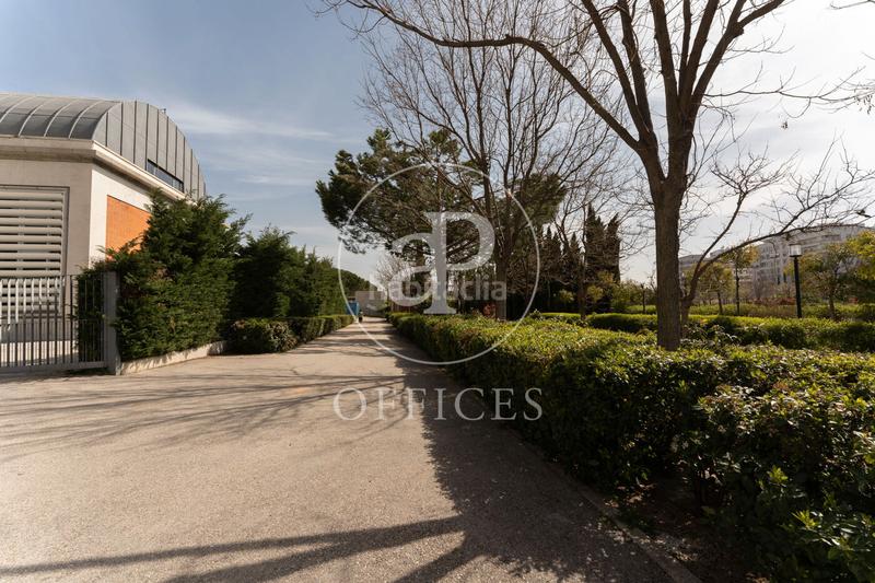 Foto 30c7afd8-72ba-4ab8-979e-a8b2e4f3541f. Alquiler oficina en p.º de la castellana 216 oficina en alquiler en plaza Castilla en Madrid