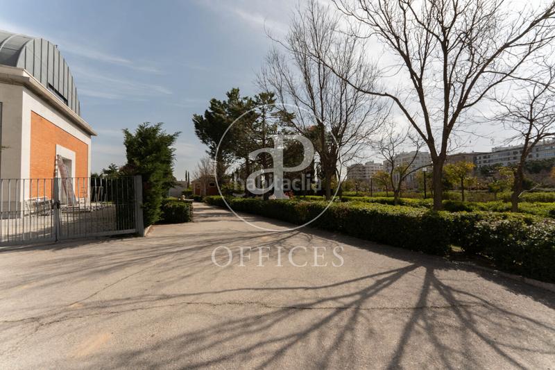 Foto 2240e82e-097f-41ad-933c-983ca9ec09d1. Lloguer oficina a p.º de la castellana 216 a Castilla Madrid