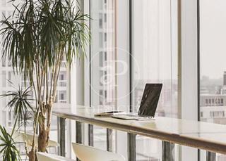 Office space in San Juan Bautista