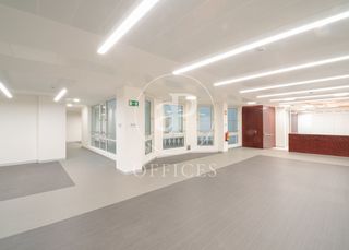 Lloguer Oficina  P.º de la castellana. Elegante y representativa oficina 600 m2 en alquiler en pº de la