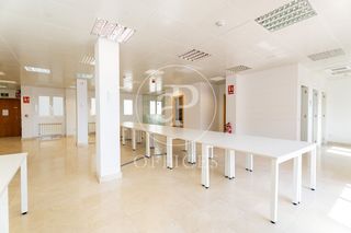 Miete Büro in El Viso. Oficina 163 m2 en alquiler en paseo de la castellana