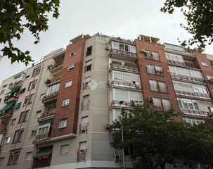 Pis a Berruguete
