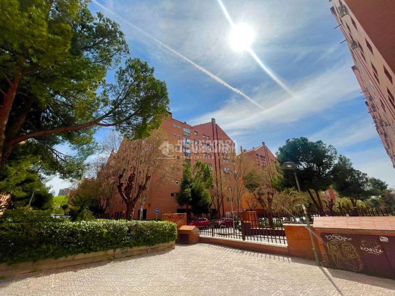 Foto 505d0d24-1c52-4511-91c8-0f1440cf68f3. Piso  en venta en Numancia Madrid