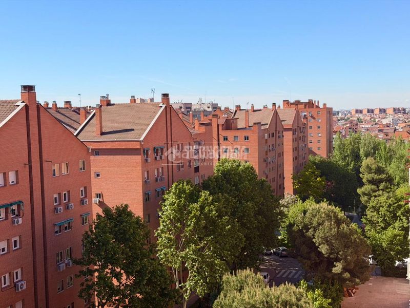 Foto 7e767306-c0c1-45cb-bf54-c237d461b16d. Piso  en venta en Numancia Madrid
